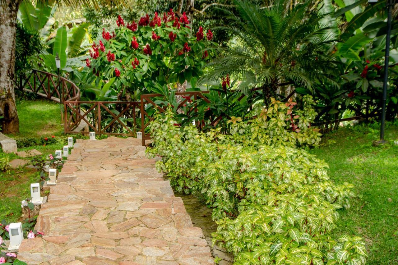 Hotel Cantinho Das Flores Guaramiranga Extérieur photo